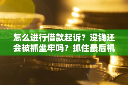 北京怎么进行借款起诉？没钱还会被抓坐牢吗？抓住最后机会！