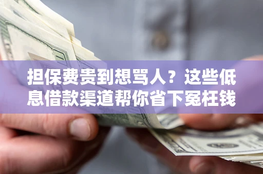 北京担保费贵到想骂人？这些低息借款渠道帮你省下冤枉钱