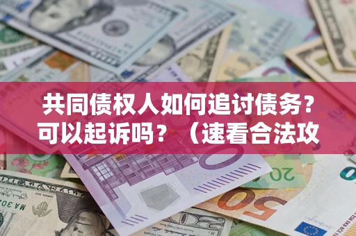 北京共同债权人如何追讨债务？可以起诉吗？（速看合法攻略）